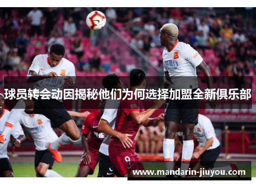 球员转会动因揭秘他们为何选择加盟全新俱乐部