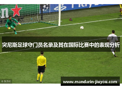 突尼斯足球守门员名录及其在国际比赛中的表现分析