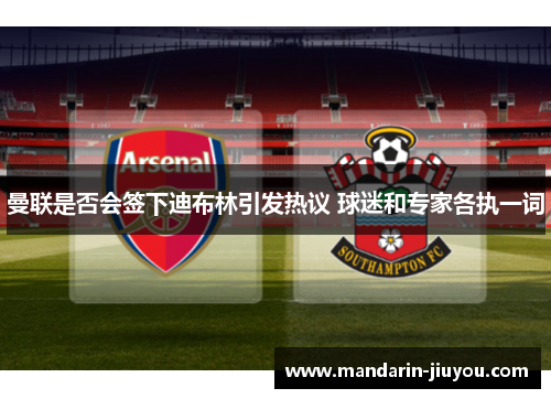 曼联是否会签下迪布林引发热议 球迷和专家各执一词