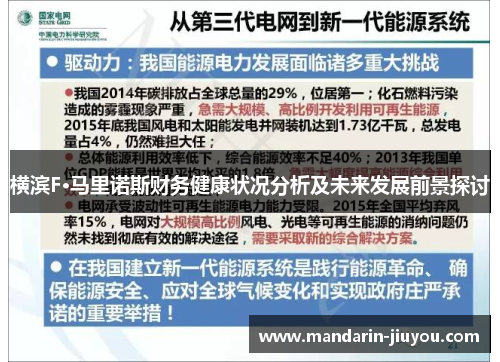 横滨F·马里诺斯财务健康状况分析及未来发展前景探讨