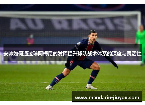 安帅如何通过琼阿梅尼的发挥提升球队战术体系的深度与灵活性