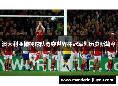 澳大利亚橄榄球队勇夺世界杯冠军创历史新篇章