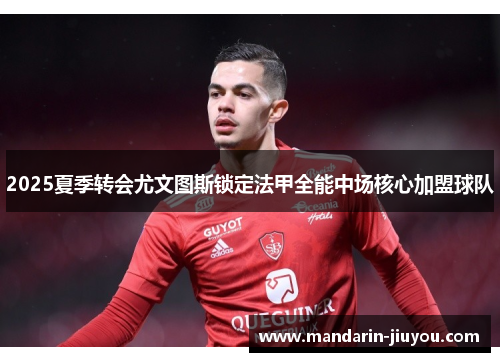 2025夏季转会尤文图斯锁定法甲全能中场核心加盟球队